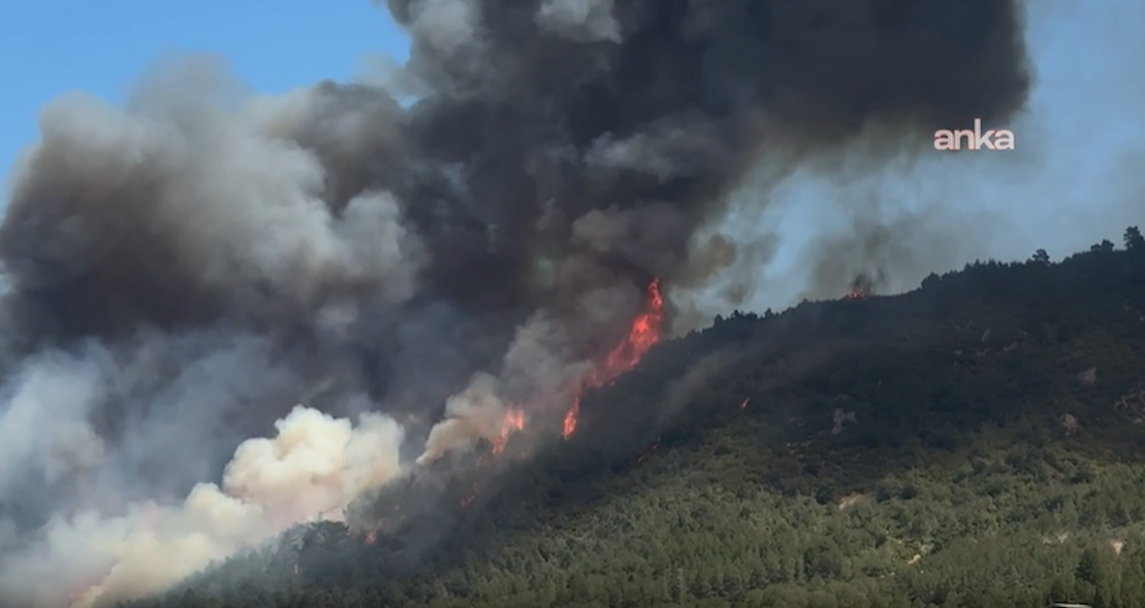 Soma’daki orman yangınında 2 gözaltı! somadaki orman yangininda 2 gozalti riB115nD