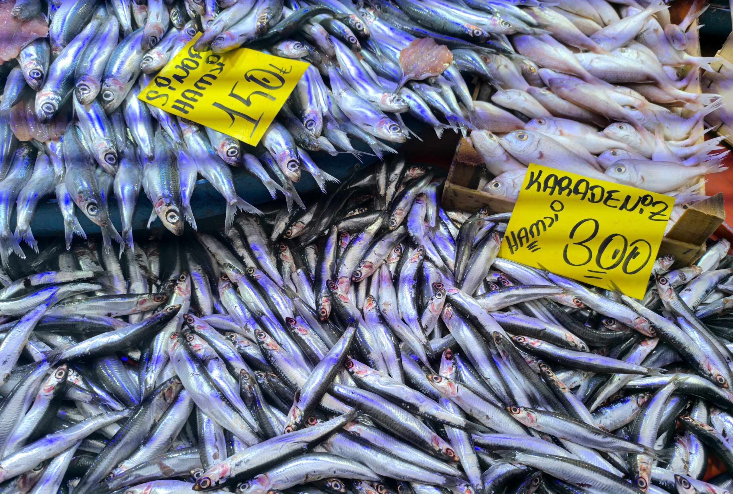 Hava sıcaklığı düştü, yoğun ilgi görmeye başladı. Tezgahta hamsi bereketi