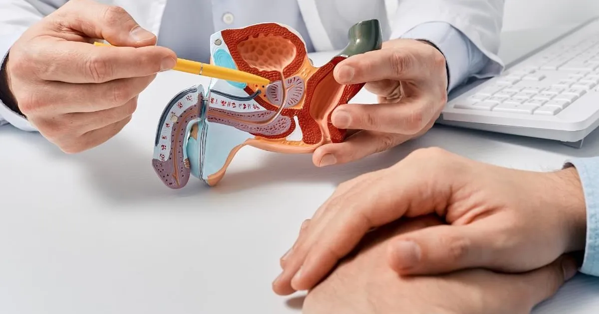 Prostat büyümesi erken önlemle kontrol altına alınabiliyor