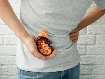Yetersiz Sıvı Tüketimi, Böbrek Taşı Riskini Artırıyor