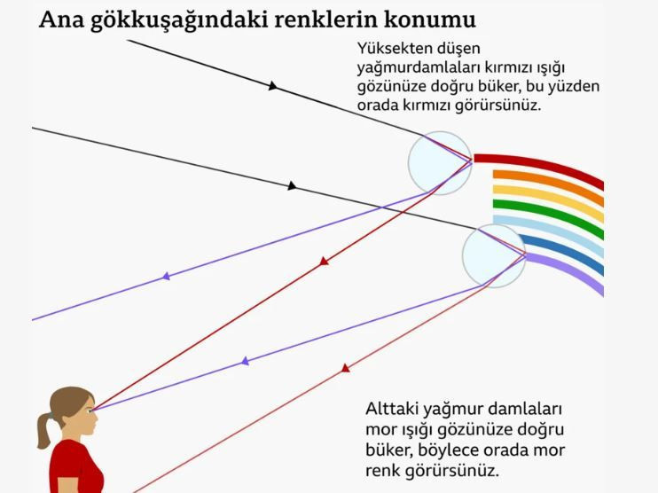 Gökkuşağının Arkasında Yatan Çarpıcı Fizik: Herkesin Farklı Görmesi